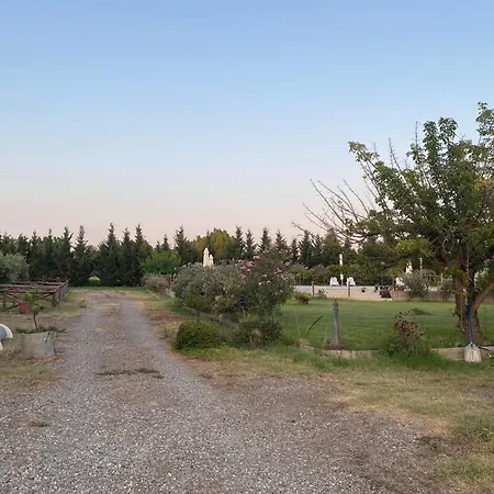 Alojamento de Turismo Rural Tenuta Traversa Botricello